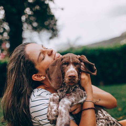 Bellos Knochenbouillon Rind
