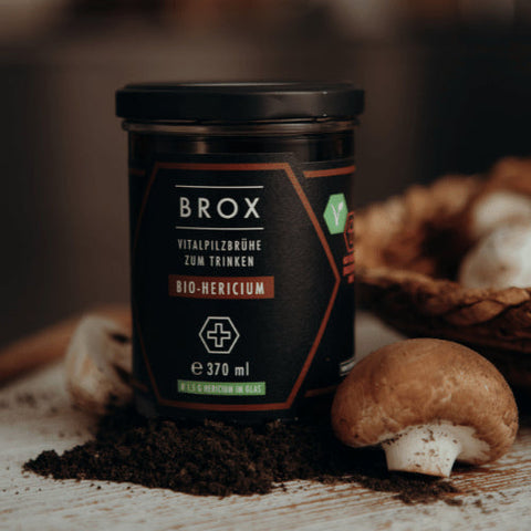 Kraftbouillon Vitalpilz