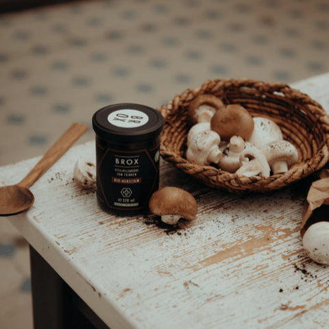 Kraftbouillon Vitalpilz